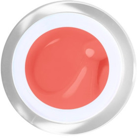 Gel Painting Nº 03 - Salmon - 5ml - Gel Painting  - Outlet Nails