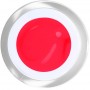 Gel Painting 11 - Watermelon - 5ml - Gel Painting  - Outlet Nails