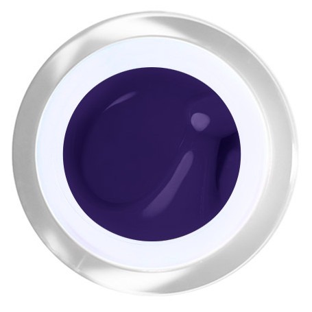 Gel Painting Nº 20 - Dark Purple - 5ml - Gel Painting  - Outlet Nails