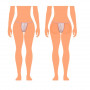 Tanga Slip - Pack 100uds - Inicios  -