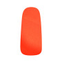 Acrylic Color No. 10 - 10gr - Color Acrylic  - Outlet Nails
