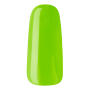 Polish Gel Nº 81 - Polish Gel Color  - Outlet Nails