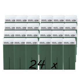 Pack 24 x Roll On Cera 100ml - Aloe Vera - Cera Depilatoria